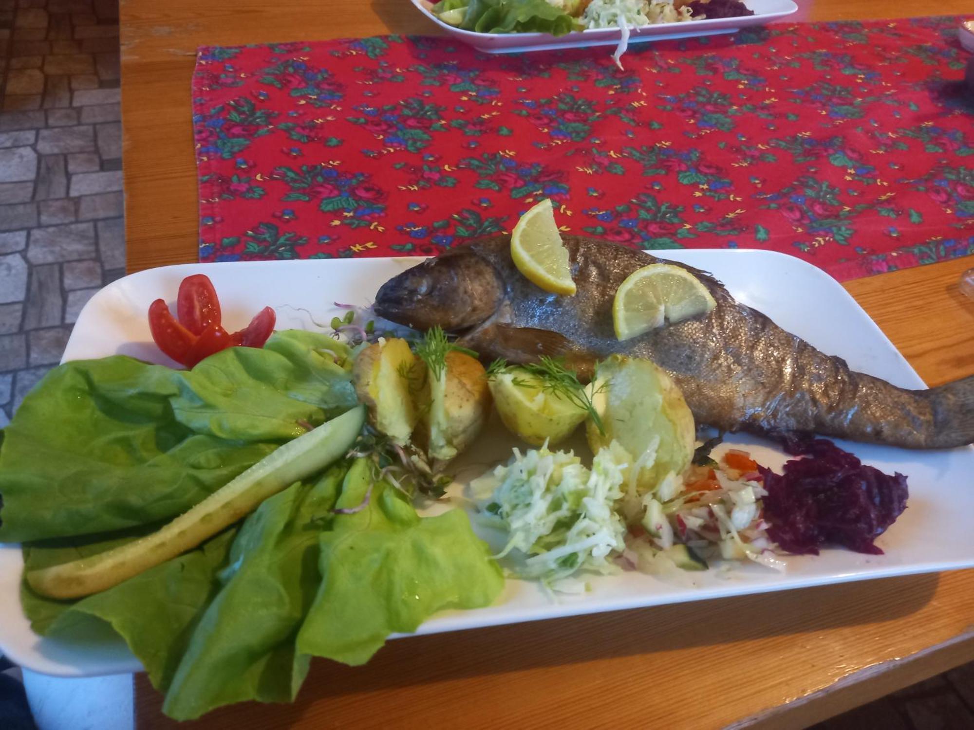הוילה זאבוייה Gazdowka Na Mosornym Groniu מראה חיצוני תמונה